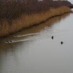 2012-01-09  09 L